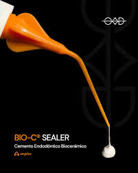 CEMENTO BIO C SEALER - ANGELUS
